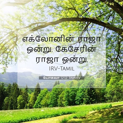 Picture 07 - யோசுவா 12:12 TAMIRV - எக்லோனின் ராஜா - Bible Verse Picture