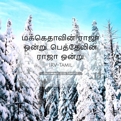 Picture 07 - யோசுவா 12:16 TAMIRV - மக்கெதாவின் ராஜா - Bible Verse Picture