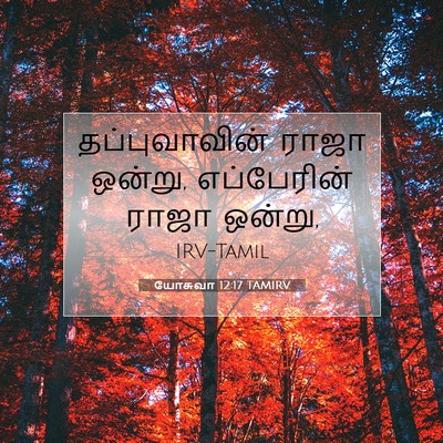 Picture 07 - யோசுவா 12:17 TAMIRV - தப்புவாவின் ராஜா - Bible Verse Picture