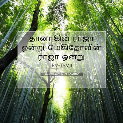 Picture 07 - யோசுவா 12:21 TAMIRV - தானாகின் ராஜா - Bible Verse Picture