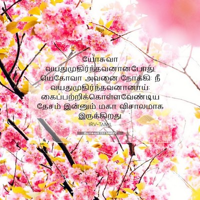 Picture 07 - யோசுவா 13:1 TAMIRV - யோசுவா - Bible Verse Picture