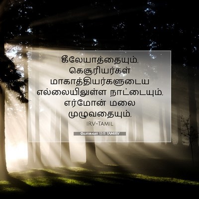 Picture 07 - யோசுவா 13:11 TAMIRV - கீலேயாத்தையும், - Bible Verse Picture