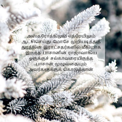 Picture 07 - யோசுவா 13:12 TAMIRV - அஸ்தரோத்திலும் - Bible Verse Picture