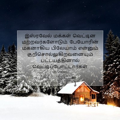 Picture 07 - யோசுவா 13:22 TAMIRV - இஸ்ரவேல் மக்கள் - Bible Verse Picture