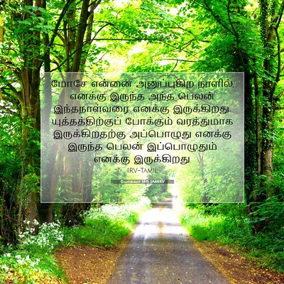 Picture 07 - யோசுவா 14:11 TAMIRV - மோசே என்னை - Bible Verse Picture