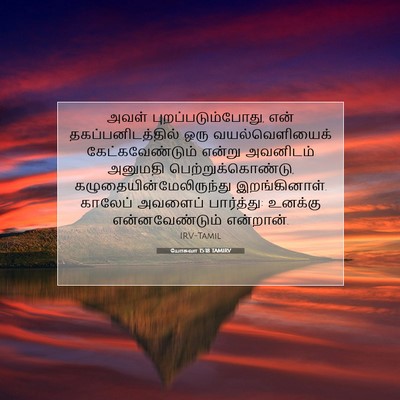 Picture 07 - யோசுவா 15:18 TAMIRV - அவள் - Bible Verse Picture