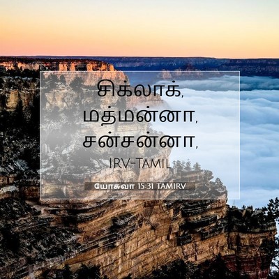 Picture 07 - யோசுவா 15:31 TAMIRV - சிக்லாக், - Bible Verse Picture