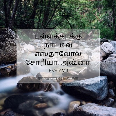 Picture 07 - யோசுவா 15:33 TAMIRV - பள்ளத்தாக்கு - Bible Verse Picture