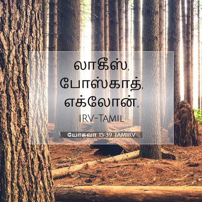 Picture 07 - யோசுவா 15:39 TAMIRV - லாகீஸ், போஸ்காத், - Bible Verse Picture