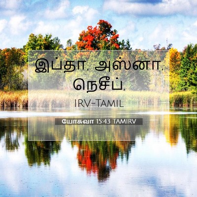 Picture 07 - யோசுவா 15:43 TAMIRV - இப்தா, அஸ்னா, - Bible Verse Picture