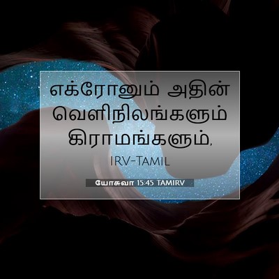 Picture 07 - யோசுவா 15:45 TAMIRV - எக்ரோனும் அதின் - Bible Verse Picture