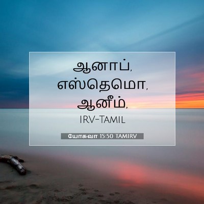 Picture 07 - யோசுவா 15:50 TAMIRV - ஆனாப், எஸ்தெமொ, - Bible Verse Picture