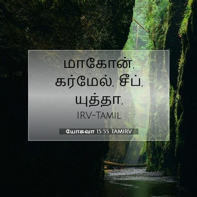 Picture 07 - யோசுவா 15:55 TAMIRV - மாகோன், கர்மேல், - Bible Verse Picture