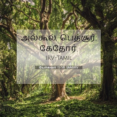 Picture 07 - யோசுவா 15:58 TAMIRV - அல்கூல், பெத்சூர், - Bible Verse Picture