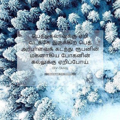 Picture 07 - யோசுவா 15:6 TAMIRV - பெத்ஓக்லாவுக்கு - Bible Verse Picture