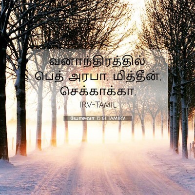 Picture 07 - யோசுவா 15:61 TAMIRV - வனாந்திரத்தில், - Bible Verse Picture