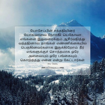 Picture 07 - யோசுவா 17:14 TAMIRV - யோசேப்பின் - Bible Verse Picture