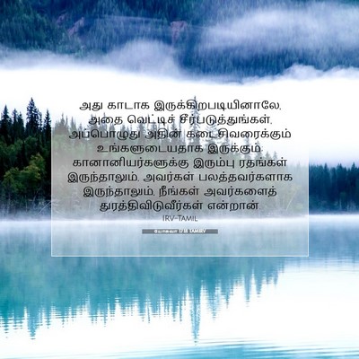 Picture 07 - யோசுவா 17:18 TAMIRV - அது காடாக - Bible Verse Picture