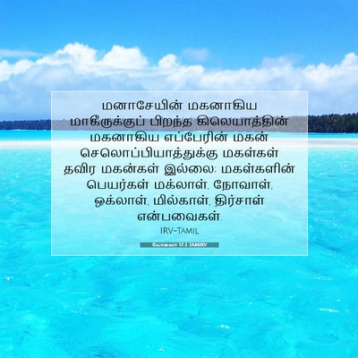 Picture 07 - யோசுவா 17:3 TAMIRV - மனாசேயின் மகனாகிய - Bible Verse Picture