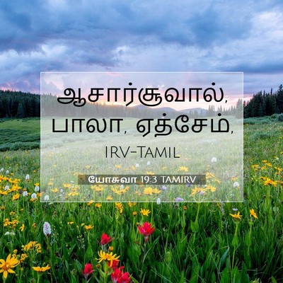 Picture 07 - யோசுவா 19:3 TAMIRV - ஆசார்சூவால், பாலா, - Bible Verse Picture