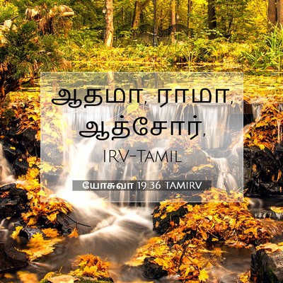 Picture 07 - யோசுவா 19:36 TAMIRV - ஆதமா, ராமா, - Bible Verse Picture