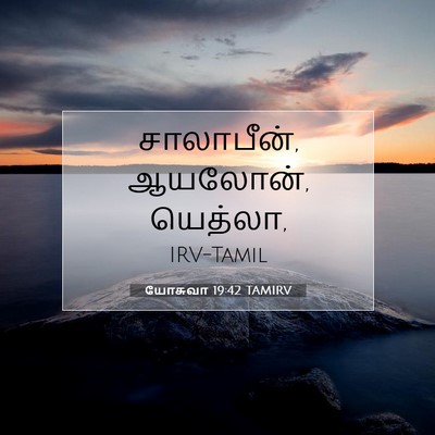 Picture 07 - யோசுவா 19:42 TAMIRV - சாலாபீன், ஆயலோன், - Bible Verse Picture