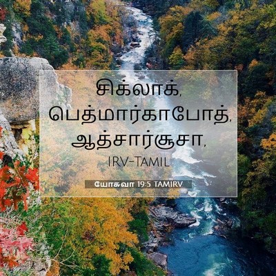 Picture 07 - யோசுவா 19:5 TAMIRV - சிக்லாக், - Bible Verse Picture