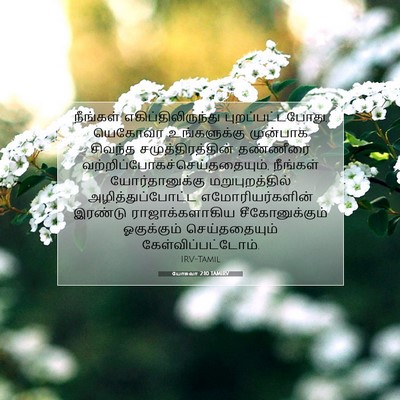 Picture 07 - யோசுவா 2:10 TAMIRV - நீங்கள் - Bible Verse Picture