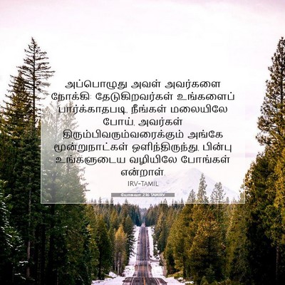 Picture 07 - யோசுவா 2:16 TAMIRV - அப்பொழுது அவள் - Bible Verse Picture