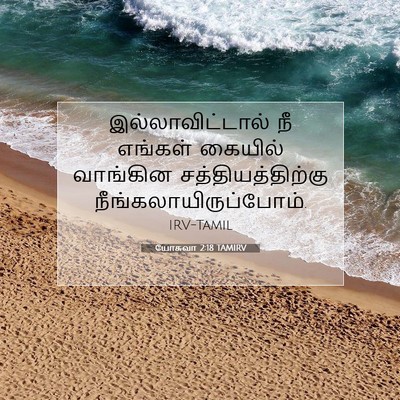 Picture 07 - யோசுவா 2:18 TAMIRV - இல்லாவிட்டால் நீ - Bible Verse Picture