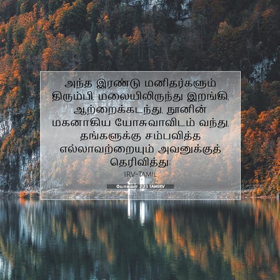 Picture 07 - யோசுவா 2:23 TAMIRV - அந்த இரண்டு - Bible Verse Picture