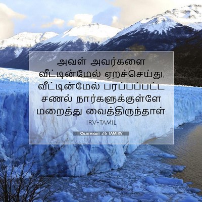 Picture 07 - யோசுவா 2:6 TAMIRV - அவள் அவர்களை - Bible Verse Picture