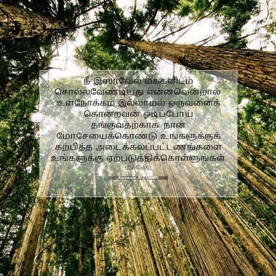 Picture 07 - யோசுவா 20:2 TAMIRV - நீ இஸ்ரவேல் - Bible Verse Picture