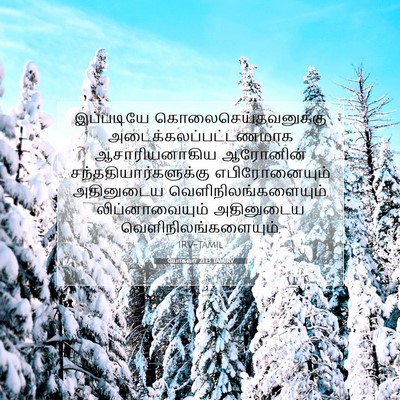 Picture 07 - யோசுவா 21:13 TAMIRV - இப்படியே - Bible Verse Picture