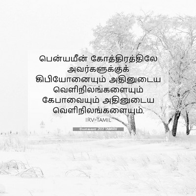 Picture 07 - யோசுவா 21:17 TAMIRV - பென்யமீன் - Bible Verse Picture