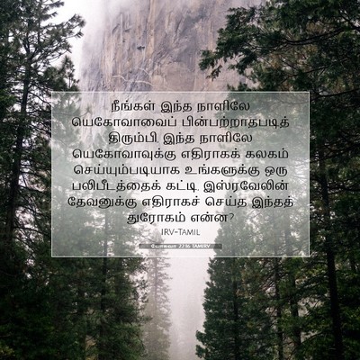 Picture 07 - யோசுவா 22:16 TAMIRV - நீங்கள் இந்த - Bible Verse Picture