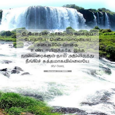 Picture 07 - யோசுவா 22:17 TAMIRV - பேயோரின் - Bible Verse Picture