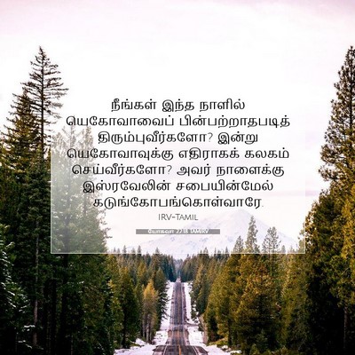 Picture 07 - யோசுவா 22:18 TAMIRV - நீங்கள் இந்த - Bible Verse Picture