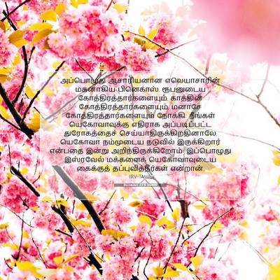 Picture 07 - யோசுவா 22:31 TAMIRV - அப்பொழுது - Bible Verse Picture