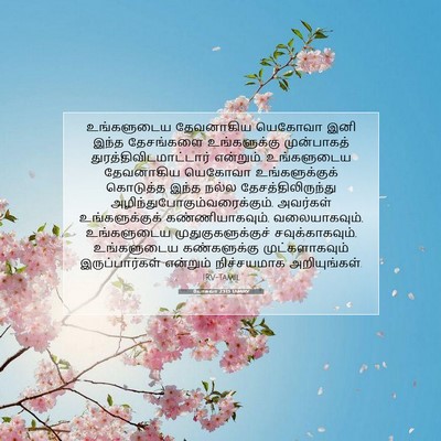 Picture 07 - யோசுவா 23:13 TAMIRV - உங்களுடைய - Bible Verse Picture