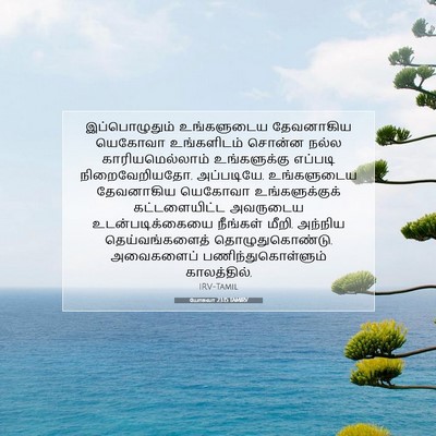 Picture 07 - யோசுவா 23:15 TAMIRV - இப்பொழுதும் - Bible Verse Picture