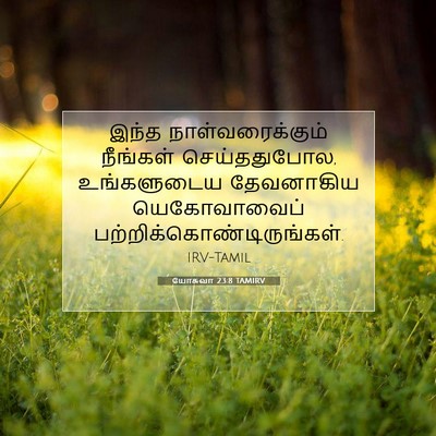 Picture 07 - யோசுவா 23:8 TAMIRV - இந்த - Bible Verse Picture