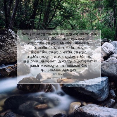 Picture 07 - யோசுவா 24:11 TAMIRV - பின்பு யோர்தானைக் - Bible Verse Picture