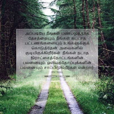 Picture 07 - யோசுவா 24:13 TAMIRV - அப்படியே நீங்கள் - Bible Verse Picture