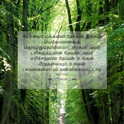 Picture 07 - யோசுவா 24:19 TAMIRV - யோசுவா மக்களை - Bible Verse Picture