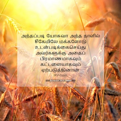 Picture 07 - யோசுவா 24:25 TAMIRV - அந்தப்படி யோசுவா - Bible Verse Picture