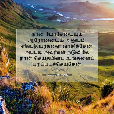 Picture 07 - யோசுவா 24:5 TAMIRV - நான் மோசேயையும் - Bible Verse Picture