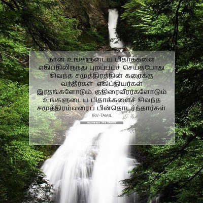 Picture 07 - யோசுவா 24:6 TAMIRV - நான் உங்களுடைய - Bible Verse Picture