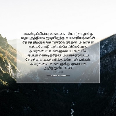 Picture 07 - யோசுவா 24:8 TAMIRV - அதற்குப்பின்பு - Bible Verse Picture