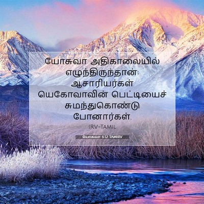 Picture 07 - யோசுவா 6:12 TAMIRV - யோசுவா - Bible Verse Picture